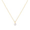 Gold Shell Pearl Drop Pendant Necklace